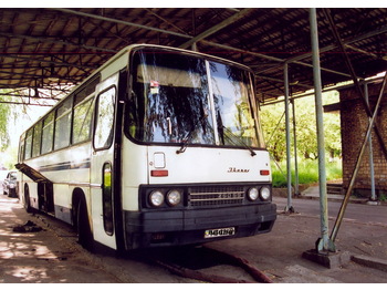 IKARUS 250.59 - Autobus urban