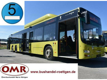 Autobus qyteti MAN A 26 Lion´s City L / NL 313 CNG: foto 1