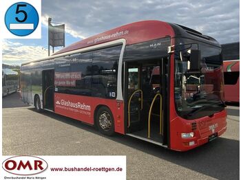 Autobus qyteti MAN A 37 Hybrid / A 21 / Lion´s City / O 530 Citaro: foto 1