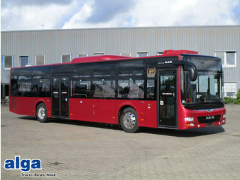Autobus qyteti MAN Lions City Ü, A20, Euro 6, 41 Sitze: foto 1