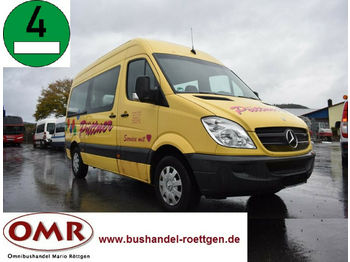 Minibus, Furgon pasagjerësh Mercedes-Benz 906 AC 30 Sprinter: foto 1