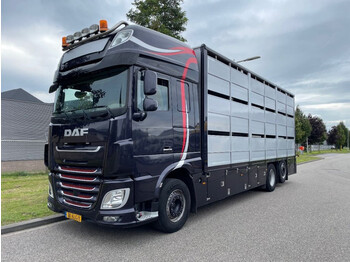 DAF XF 460 2017 berdex 3 lagen varkens - Kamion bagëtish
