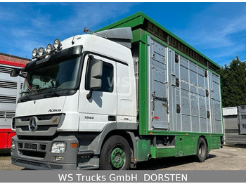 Mercedes-Benz Actros 1844  Finkl Doppelstock Hubdach  - Kamion bagëtish