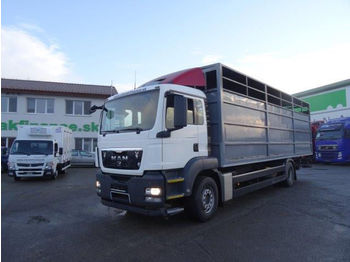 Kamion bagëtish MAN TGS 18.480 for animal transport,manual, EURO 4: foto 1