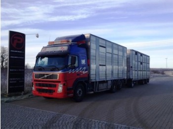 Kamion bagëtish Volvo FM12 420 Animal transport with henger - Euro 3: foto 1
