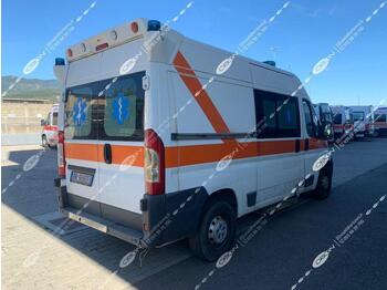 ORION srl FIAT DUCATO 250 (ID 3018) - Ambulancë