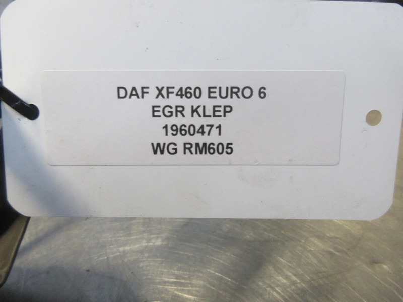 Motori dhe pjesë këmbimi për Kamioni DAF XF460 1960471 EGR KLEP EURO 6: foto 5