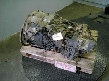 Terberg Versn bak 16S151 OD - Pjesë këmbimi