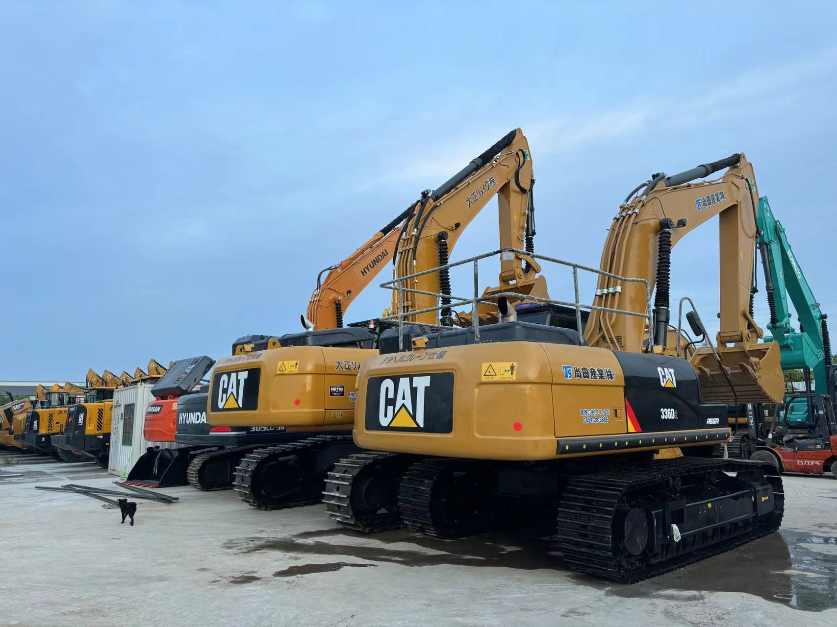 Sunight Development Company Limited - automjete për shitje undefined: foto 2