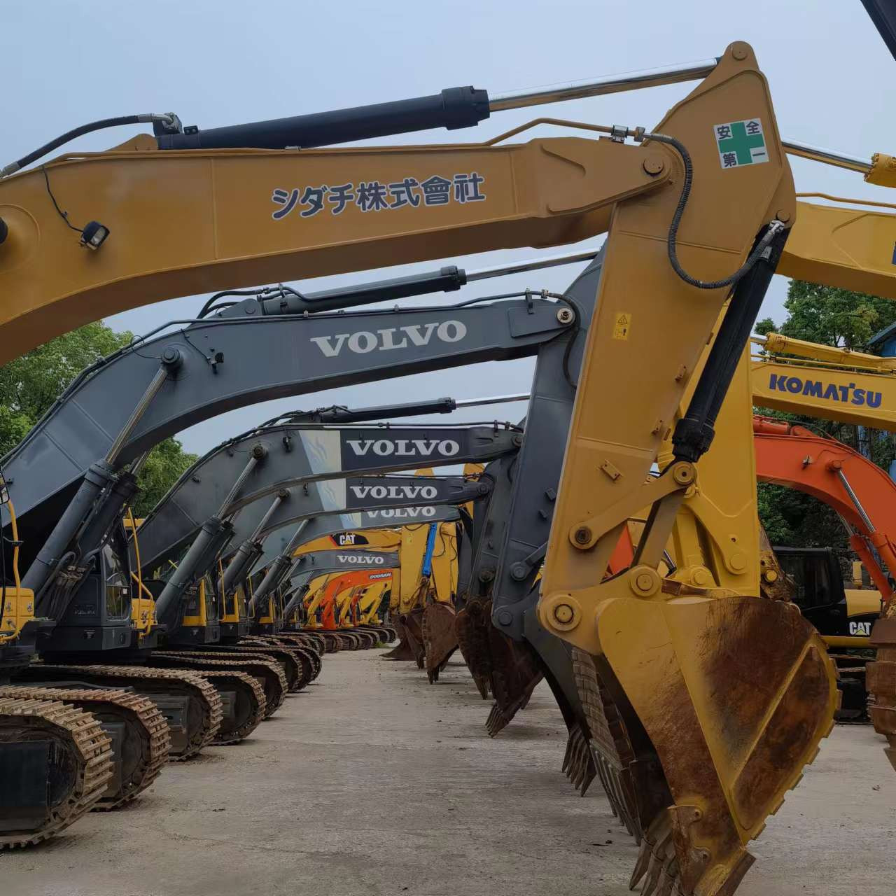 Qingdao Higher Weight Trade Co. LTD undefined: foto 7