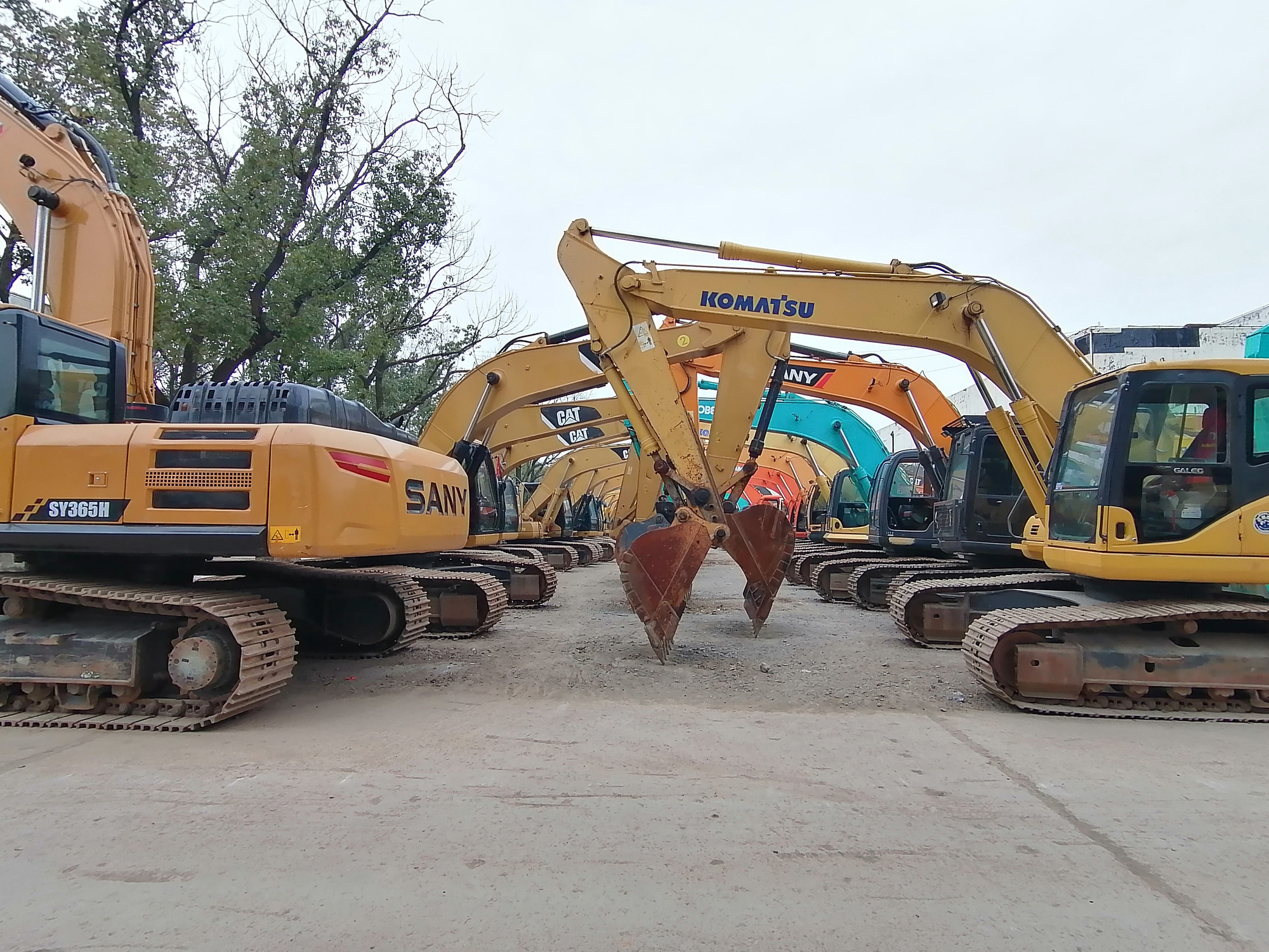 Qingdao Higher Weight Trade Co. LTD undefined: foto 6