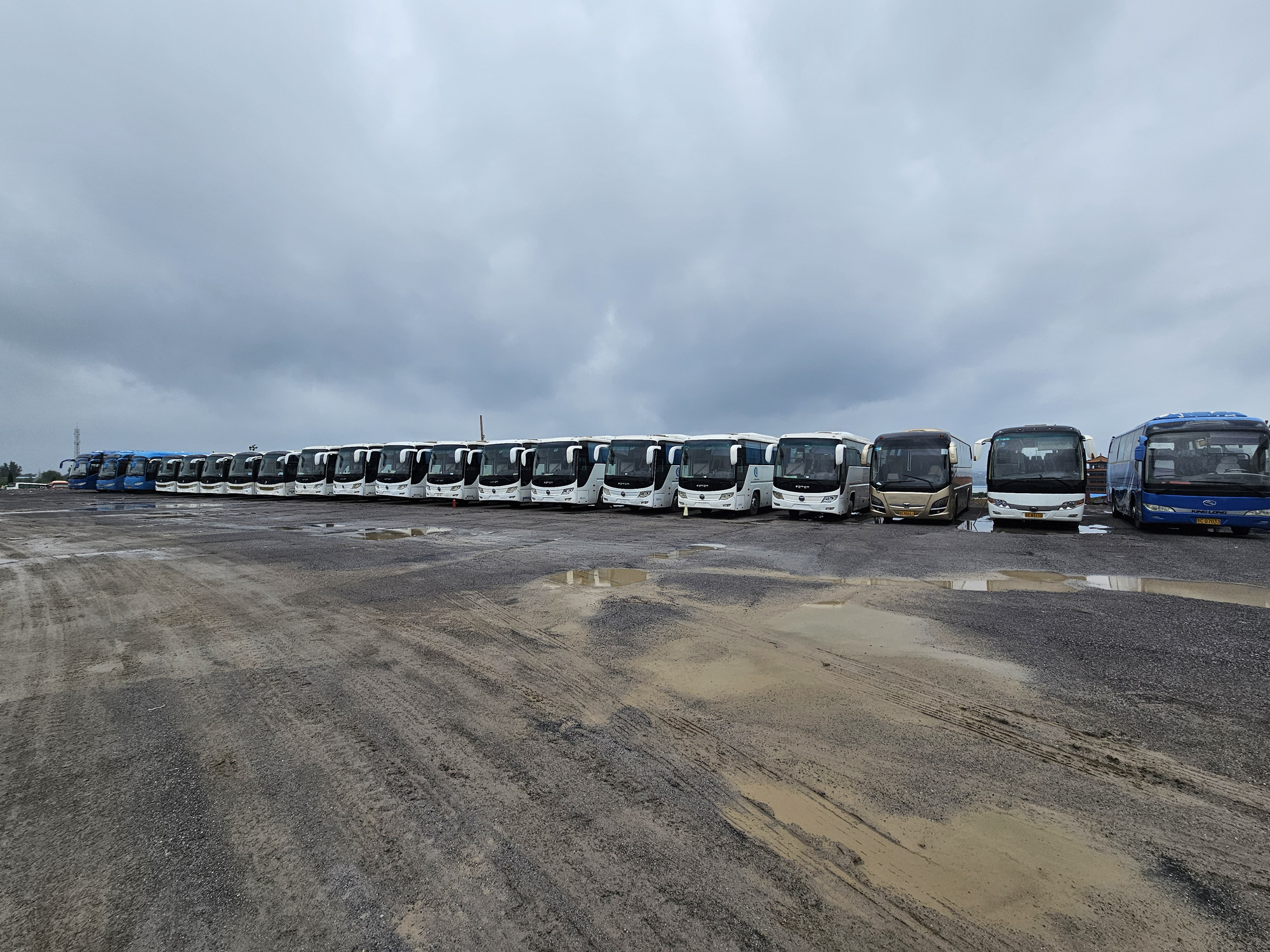 Qingdao Higher Weight Trade Co. LTD undefined: foto 5