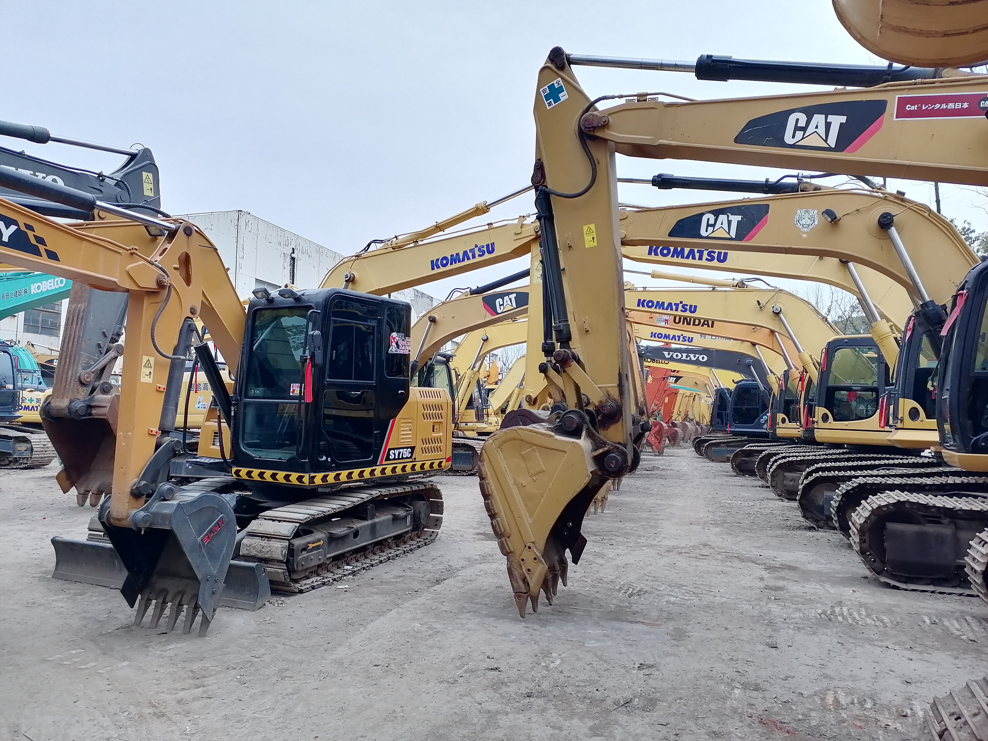 Qingdao Higher Weight Trade Co. LTD undefined: foto 8