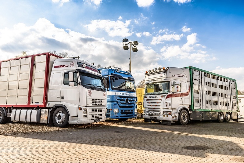 WS Trucks GmbH - Kamionë - 6x2, kondicioner undefined: foto 1