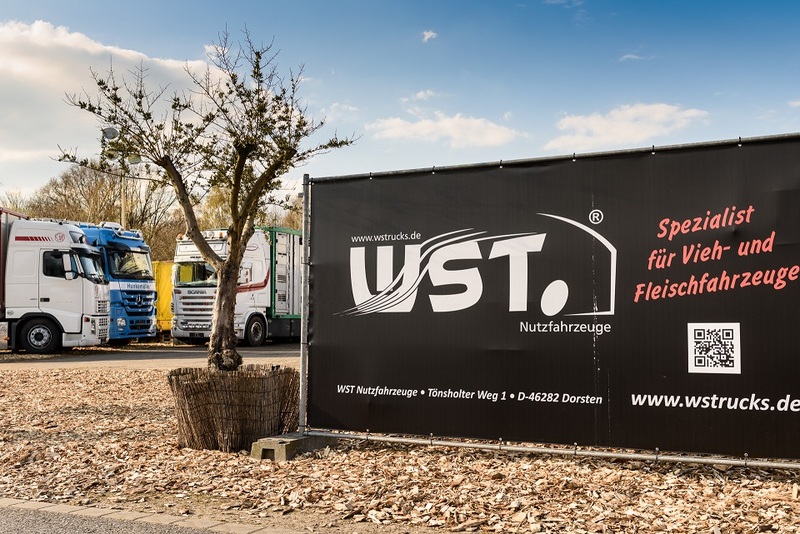 WS Trucks GmbH - Kamionë - 6x2, kondicioner undefined: foto 4