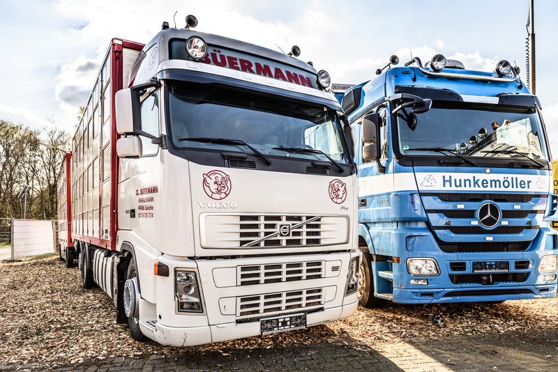 WS Trucks GmbH - Kamionë - 6x2, kondicioner undefined: foto 2