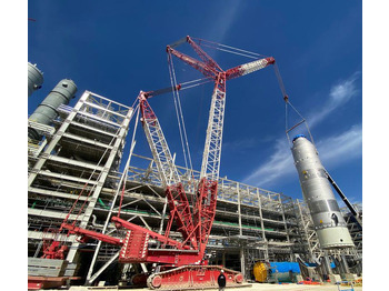 Vinç me zinxhir Liebherr LR 1750: foto 3