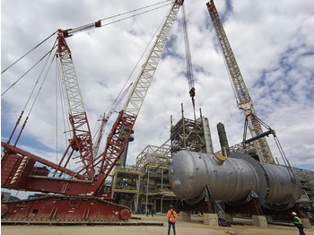 Vinç me zinxhir Liebherr LR 1750: foto 5