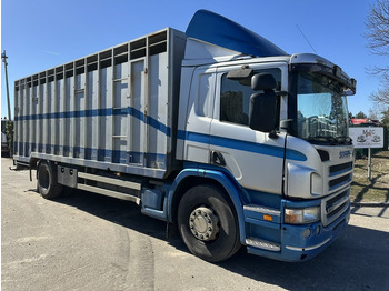 Kamion bagëtish SCANIA P 310