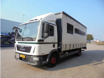 Kamion vagonetë MAN TGL 10.180