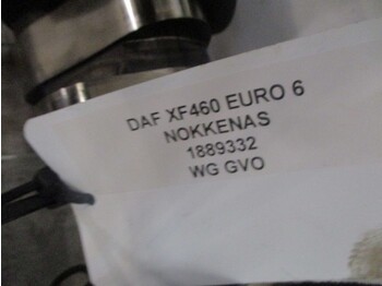 Boshti me gunga për Kamioni DAF XF106 1889332 NOKKENAS EURO 6: foto 2