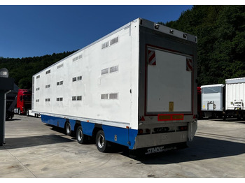 Lizingu i Pezzaioli HMK Industri // Do przewozu zwierząt // 2004 Rok // 3 Pokłady // Waga // Osi skrętne // Oznonacja // Pezzaioli HMK Industri // Do przewozu zwierząt // 2004 Rok // 3 Pokłady // Waga // Osi skrętne // Oznonacja //: foto 2 Lizingu i Pezzaioli HMK Industri // Do przewozu zwierząt // 2004 Rok // 3 Pokłady // Waga // Osi skrętne // Oznonacja // Pezzaioli HMK Industri // Do przewozu zwierząt // 2004 Rok // 3 Pokłady // Waga // Osi skrętne // Oznonacja //: foto 2