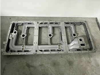 Telajo/ Shasia LIEBHERR