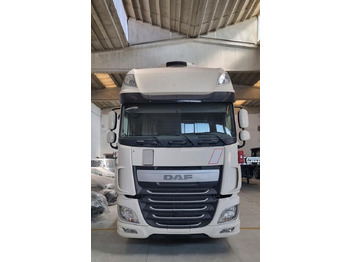 Transportjer kontejnerësh/ Kamion me karroceri të çmontueshme DAF XF 440