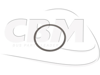 Pjesë këmbimi IRISBUS