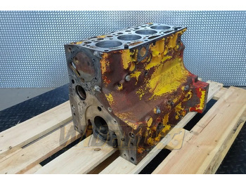 : fotoja e kryefaqes