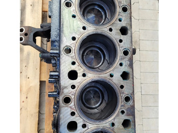 Blloku i cilindrit për Kamioni BLOK SILNIKA MERCEDES ACTROS MP4 EURO6 R471 09: foto 4