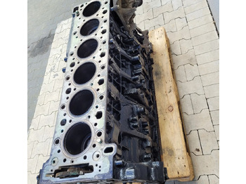 Blloku i cilindrit për Kamioni BLOK SILNIKA MERCEDES ACTROS MP4 EURO6 R471 09: foto 2