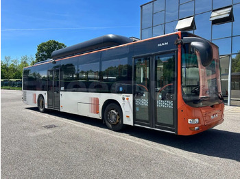 Autobus qyteti MAN Lion's City