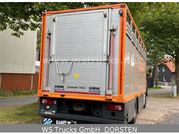 Kamion për kuaj DAF CF 400 Menke Einstock: foto 3