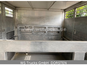 Kamion për kuaj DAF CF 400 Menke Einstock: foto 5
