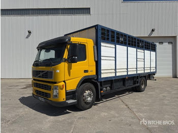 Kamion bagëtish VOLVO FM12 420