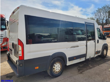 Minibus, Furgon pasagjerësh FIAT Ducato - VIP - 17 Seater: foto 5