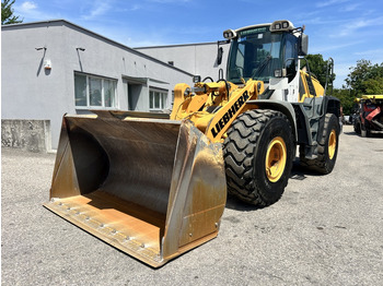 Fadrom me goma Liebherr L 550 (111617): foto 3
