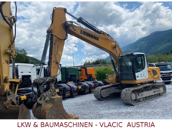 Ekskavator me zinxhirë LIEBHERR R 924