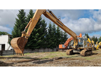 Ekskavator me zinxhirë LIEBHERR R924B: foto 4