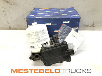 : fotoja e kryefaqes