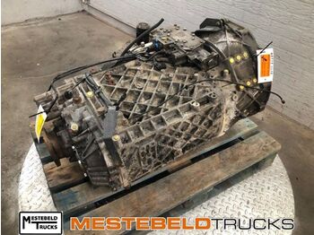 Kutia e marsheve DAF