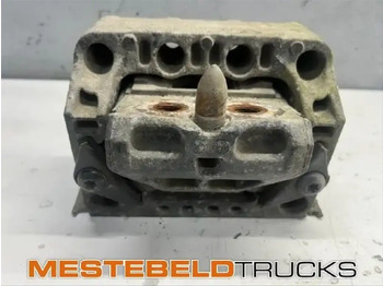 Telajo/ Shasia MERCEDES-BENZ