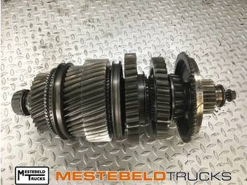 Kutia e marsheve SCANIA