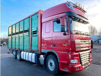 Kamion bagëtish DAF XF 105 460