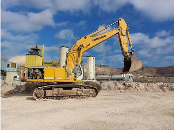 Pjesë këmbimi Liebherr R954CHD Li: foto 3