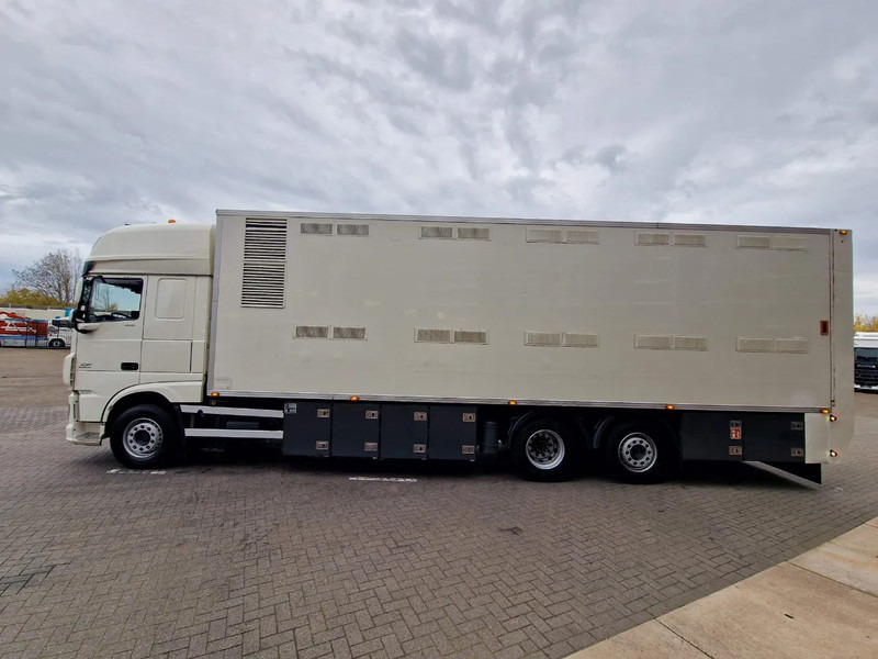 DAF XF 440 SuperSpaceCab 6x2*4 - 2 deck Closed Livestock - 40M2 - Filtersystem - Kamion bagëtish: foto 4 DAF XF 440 SuperSpaceCab 6x2*4 - 2 deck Closed Livestock - 40M2 - Filtersystem - Kamion bagëtish: foto 4