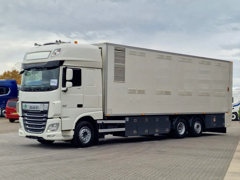 DAF XF 440 SuperSpaceCab 6x2*4 - 2 deck Closed Livestock - 40M2 - Filtersystem - Kamion bagëtish: foto 3 DAF XF 440 SuperSpaceCab 6x2*4 - 2 deck Closed Livestock - 40M2 - Filtersystem - Kamion bagëtish: foto 3