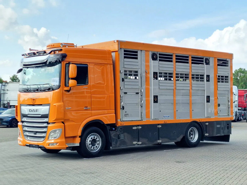 DAF XF 530 4x2 - Livestock Menke 2 deck water & ventilation - Kamion bagëtish: foto 5 DAF XF 530 4x2 - Livestock Menke 2 deck water & ventilation - Kamion bagëtish: foto 5