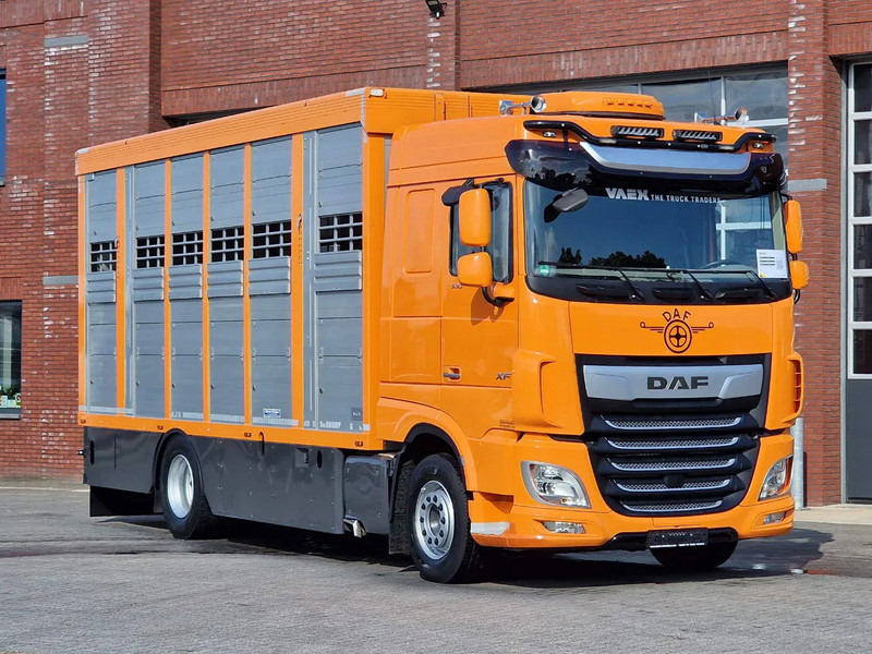 DAF XF 530 4x2 - Livestock Menke 2 deck water & ventilation - Kamion bagëtish: foto 3 DAF XF 530 4x2 - Livestock Menke 2 deck water & ventilation - Kamion bagëtish: foto 3